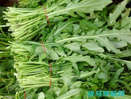 茼蒿发黑还能吃吗？茼蒿鸡蛋怎么做好吃？