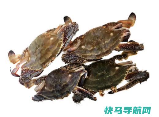 梭子蟹杀好了放冰箱明天烧可以吗？青蟹和梭子蟹哪个贵